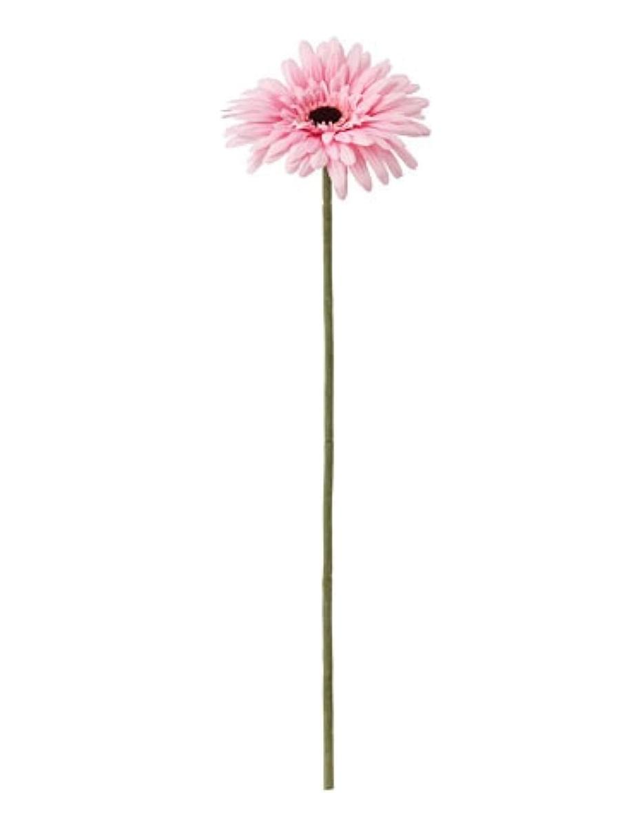 Emeli gül SMYCKA Gerbera/gülgüne 50 cm