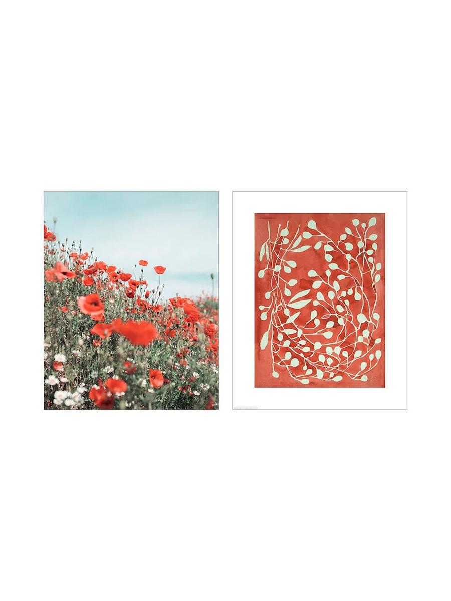 Afişa, IKEA BILD göknar,40x50 sm