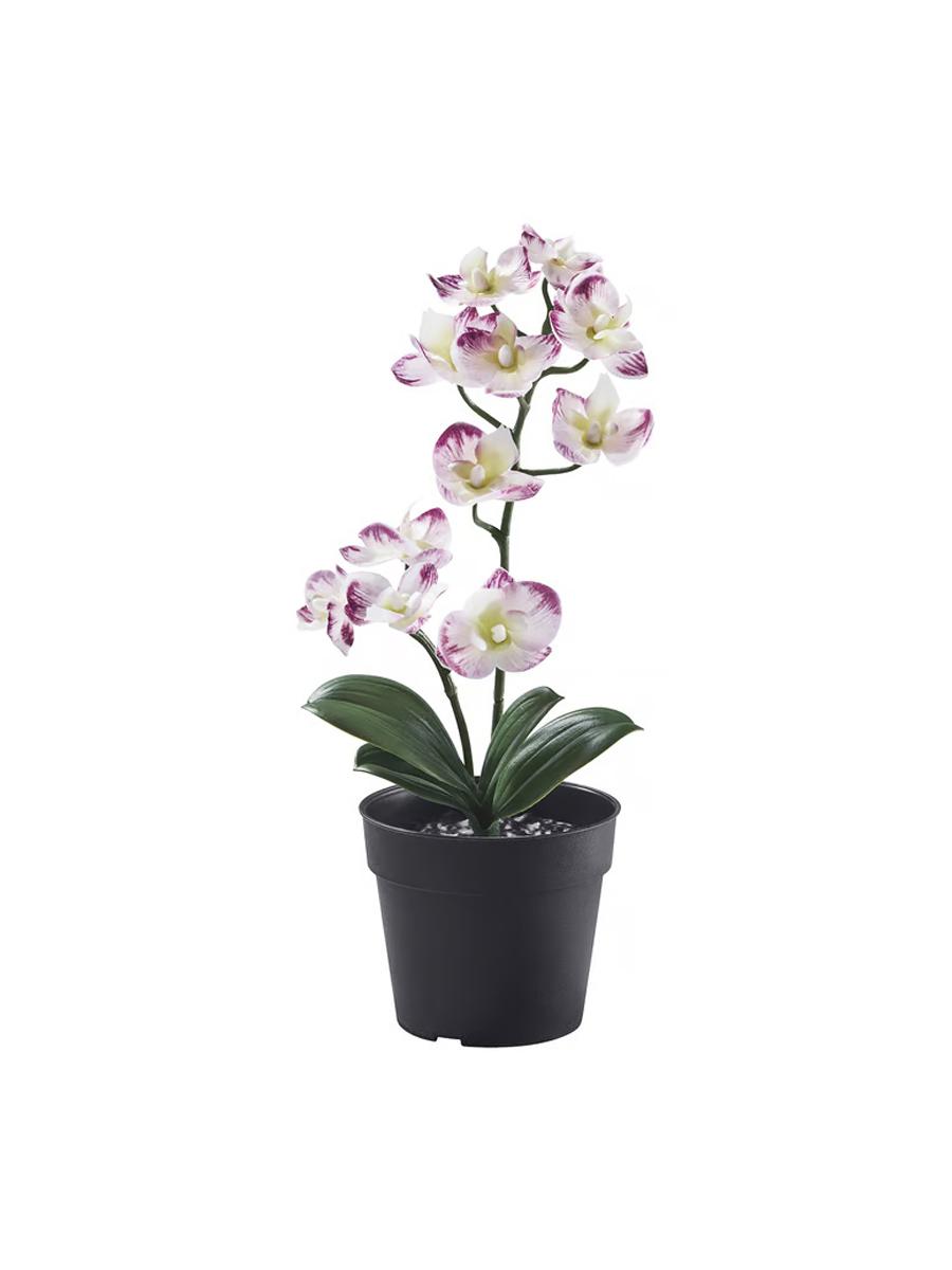 Emeli ösümlik  IKEA FEJKA gorşokda orhideýa öý/daşary üçin açyk gyrmyzy, 9 sm