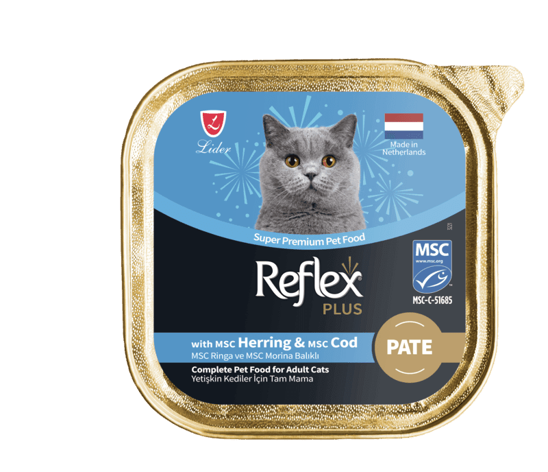 Pişikler üçin çygly iýmit Reflex Plus Salmon we Cod Pate 85 gr