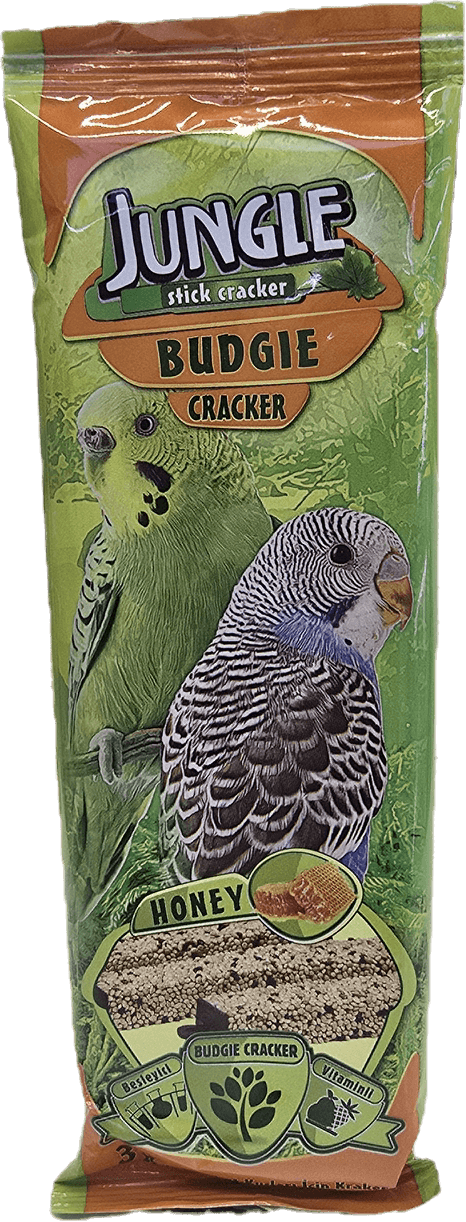 "Jungle" tayak-suyji bal bile popugay uçin