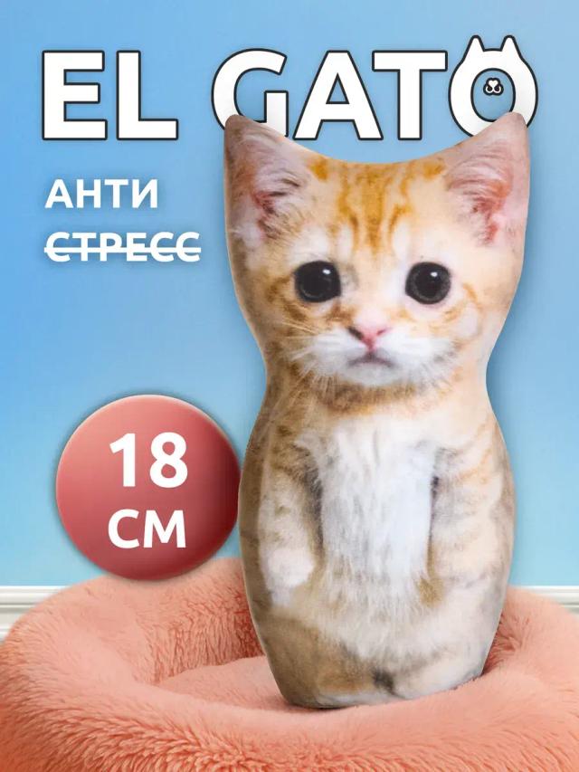 global image