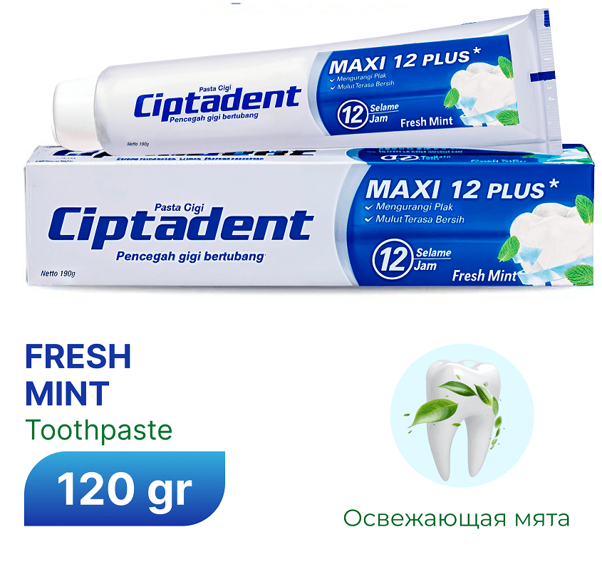 Зубная паста Ciptadent Maxi Fresh Mint 120 г