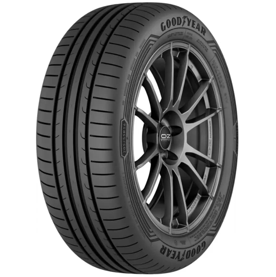 Шины 225/55R16 95V EAGLE SPORT 2
