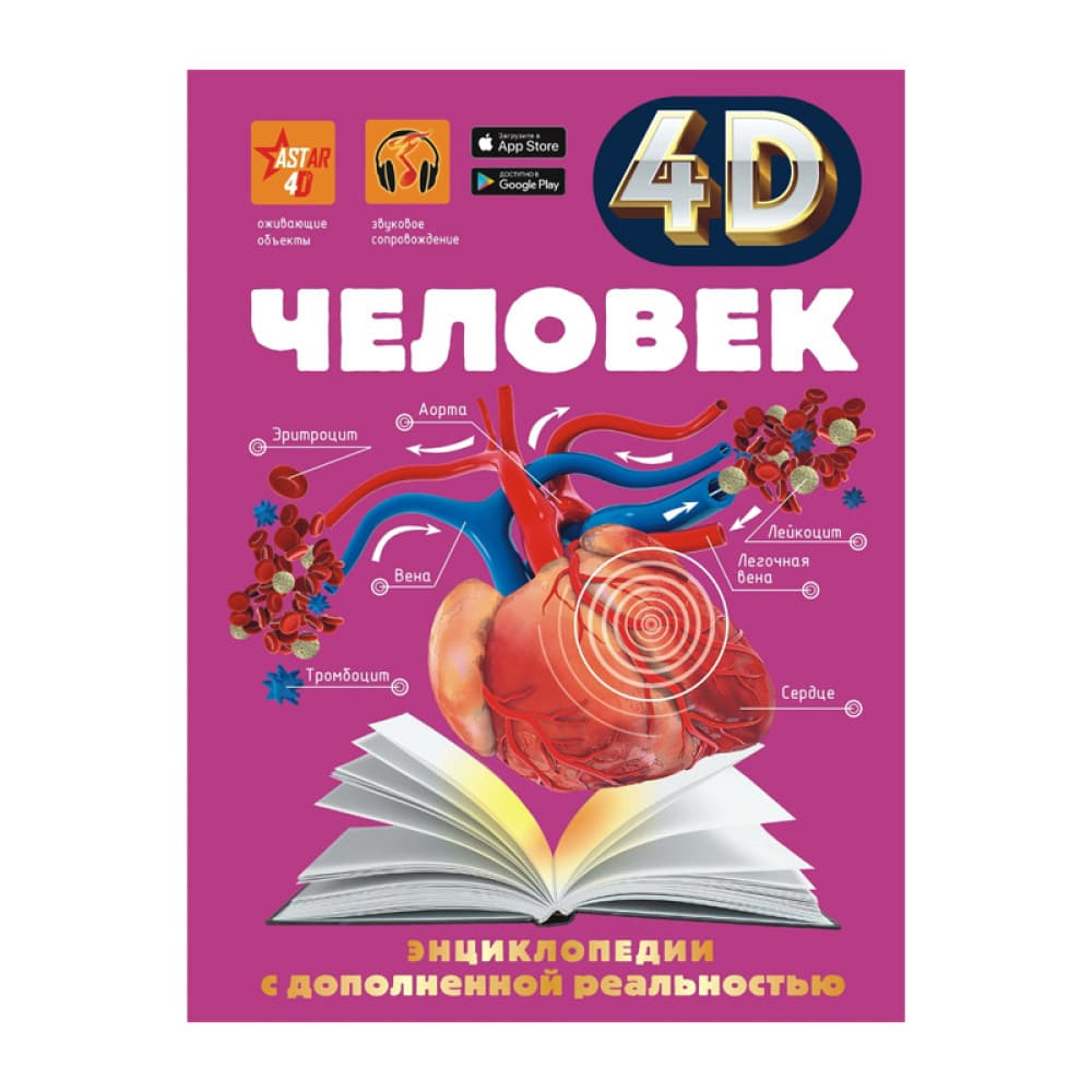 Человек 4D АСТ Автор:Гусев И Е , Спектор А А , Прудник А А
