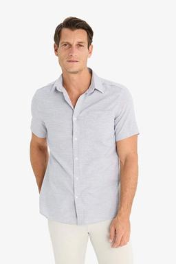 global image