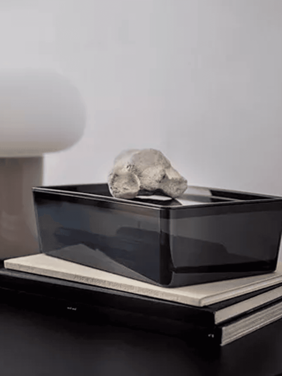 Коробка с крышкой IKEA KUGGIS прозрачная черная, 18х26х8 см