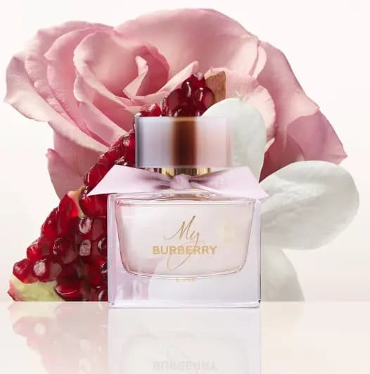 Парфюмированная вода My Burberry Blush (Разлив оригинала), 50 мл