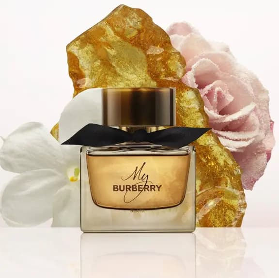 Парфюмированная вода My Burberry (Разлив оригинала), 50 мл