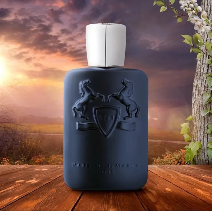 Парфюмированная вода Parfums de Marly Layton (разлив оригинала), 30 мл