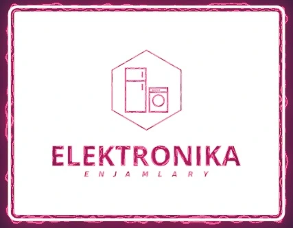 Electronica Enjamlary (Mary)